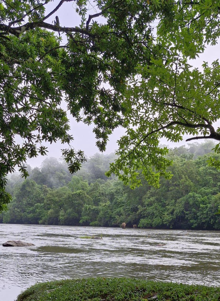 Falcon Riverview Resorts Kuttampuzha ภายนอก รูปภาพ